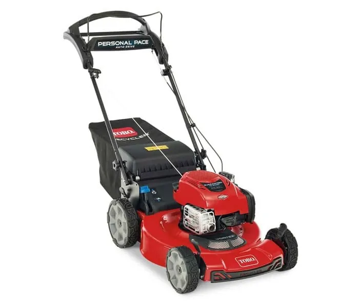 Toro Personal Pace 21462.jpg