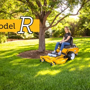 Walker Model R22 42 Mower